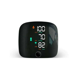 فشارسنج مچی سخنگو مدل WEB306