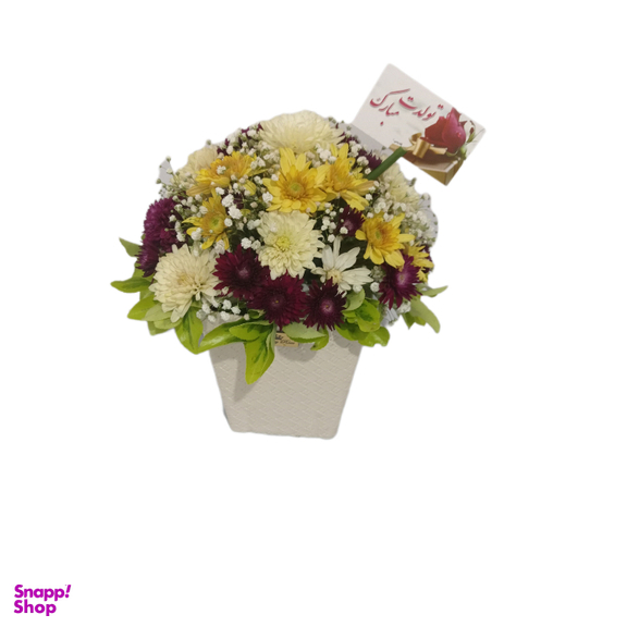 باکس گل طبیعی داوودی کد 113