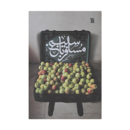 کتاب مسافر باغ سیب اثر مریم بصیری نشر سروش