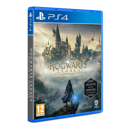 بازی ویدیویی Hogwarts Legacy کد 95 مناسب کنسول بازی سونی PS4
