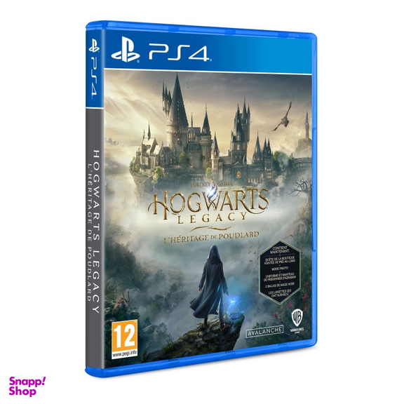 بازی ویدیویی Hogwarts Legacy کد 95 مناسب کنسول بازی سونی PS4