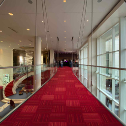 موکت پالاز مدل راش لاکی کد 8867