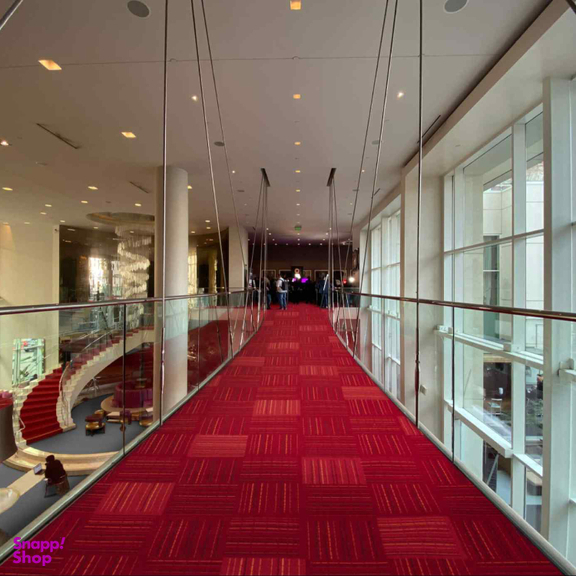 موکت پالاز مدل راش لاکی کد 8867