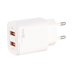 شارژر دیواری 10 وات بیوا مدل HC-04