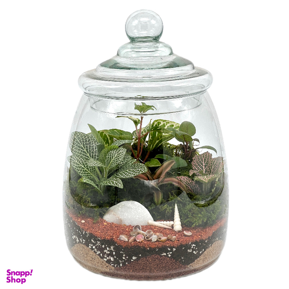 تراریوم مدل پرنیا سایز بزرگ