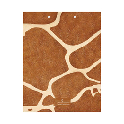 تخته شاسی پدیده نقش کد 10 سایز A4