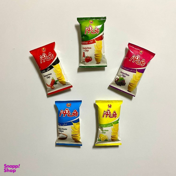 مگنت چیپس مینیاتوری کد fm02