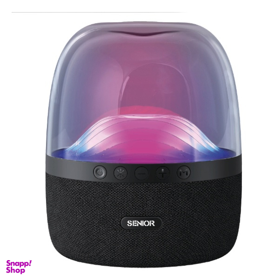 اسپیکر بلوتوثی قابل حمل کی اف-سنیور کد KF Senior R-810