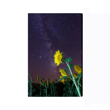 تابلو شاسی عرش مدل فانتزی گل کد As2384