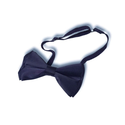 پاپیون مردانه آیکت طرح Basic کد 02