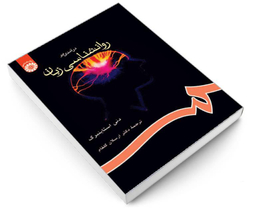 کتاب درآمدی بر روانشناسی زبان اثر دنی استاینبرگ نشر سمت