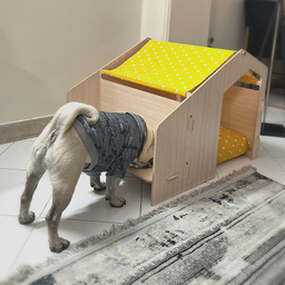 خانه سگ و گربه طرح خال خالی