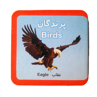 کتاب پرندگان اثر رائد آموزگار و مسعود مستقیم انتشارات فرشتگان