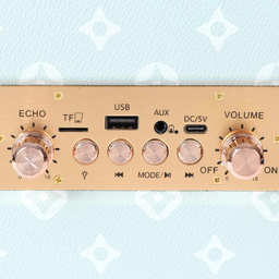 اسپیکر بلوتوثی قابل حمل ترانیو مدل T-BS60 به همراه میکروفون