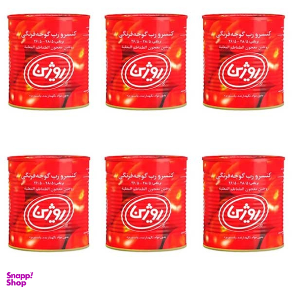 کنسرو رب گوجه فرنگی روژین وزن 800 گرم بسته 6 عددی