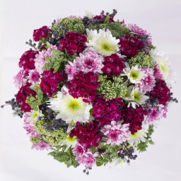 باکس گل داوودی گل باختر کد 4130