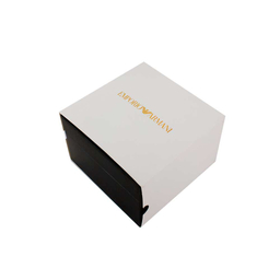 ساعت امپریو آرمانی زنانه مدل Armani-4799-L