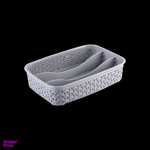 نظم دهنده آریاسام کد 105