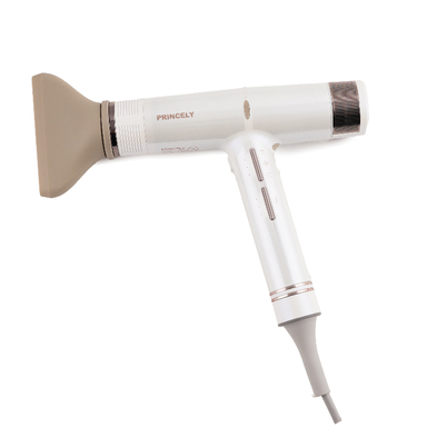 سشوار پرینسلی کد PR282 AT