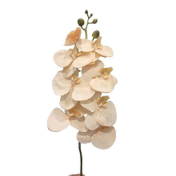 گل مصنوعی ارکیده کد 77 رنگ کرم