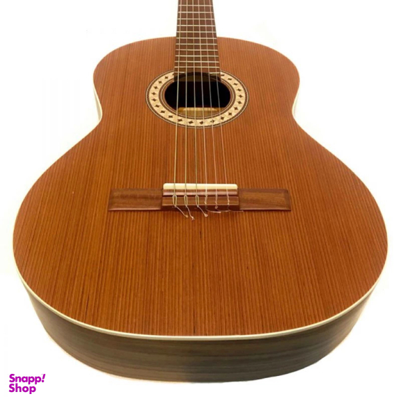 گیتار پارسی مدل M6