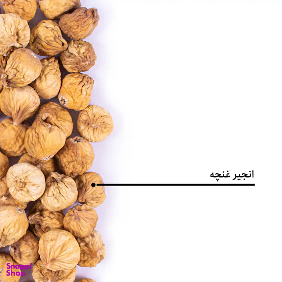 انجیر غنچه بارجیل