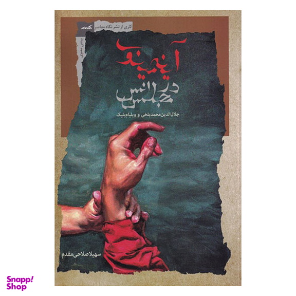 کتاب آینه ی مینوی در مجلس انس اثر سهیلا صلاحی مقدم نشر نگاه معاصر