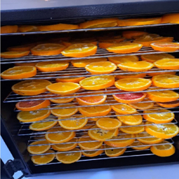 دستگاه میوه و سبزی خشک کن مدل توربو کد T555