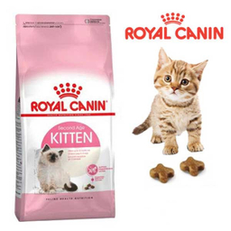 غذا خشک بچه گربه رویال کنین مدل Kitten Up To 12 Months وزن 2 کیلوگرم
