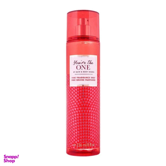 بادی اسپلش زنانه بس اند بادی ورکز مدل You are the one حجم 236 میلی لیتر