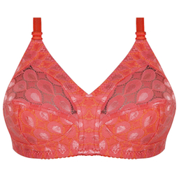 سوتین زنانه پرجامدا مدل 355011928 دانتل رنگ گلبهی