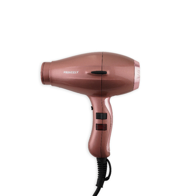 سشوار پرینسلی کد PR252AT