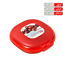 باکس نگهدارنده زیبا کد DH2