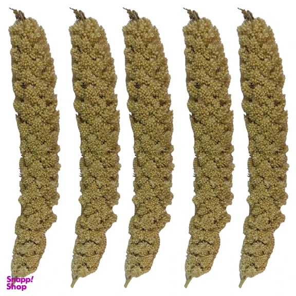 غذا تشویقی پرنده مدل ارزن خوشه ای مناسب طوطی بسته 5 عددی