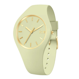 ساعت عقربه ای زنانه آیس واچ مدل 020542 رنگ سبز