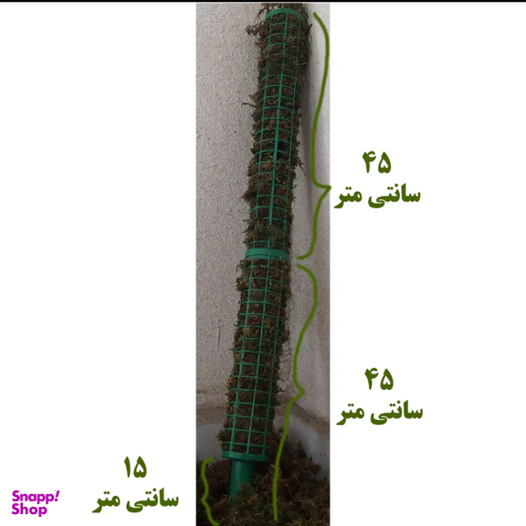 قیم خزه دار کد 02 بسته 3 عددی