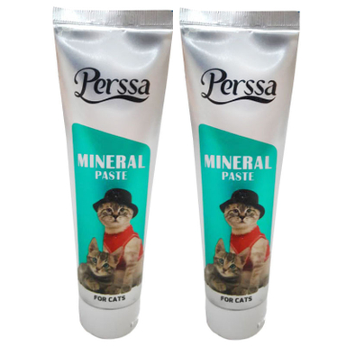 خمیر مینرال گربه پرسا مدل Mineral Paste وزن 100 گرم بسته 2 عددی