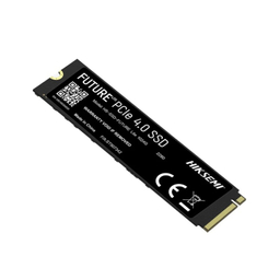 حافظه SSD اینترنال M.2 هایک سمی مدل FUTURE LITE