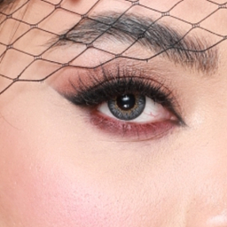 لنز رنگی سالیانه هرا شماره 08 کد HV310 رنگ طوسی عسلی