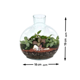 تراریوم مدل آنتالیا سایز کوچک