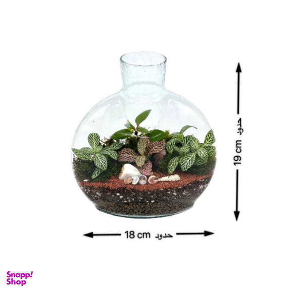 تراریوم مدل آنتالیا سایز کوچک