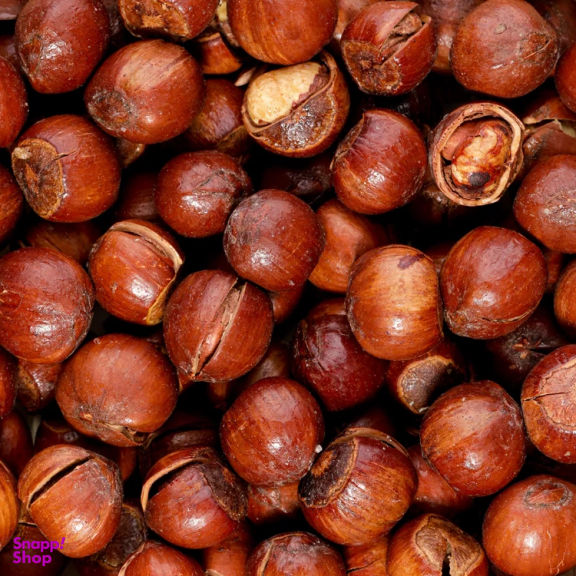 فندق با پوست شور ناتژی