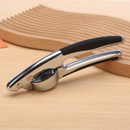 سیر له‌ کن جی فی نی مدل 01