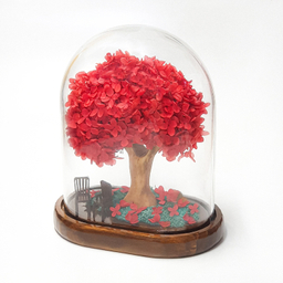 باکس درختچه گل هورتانزیا جاودان مدل آدونیس رز رنگ قرمز