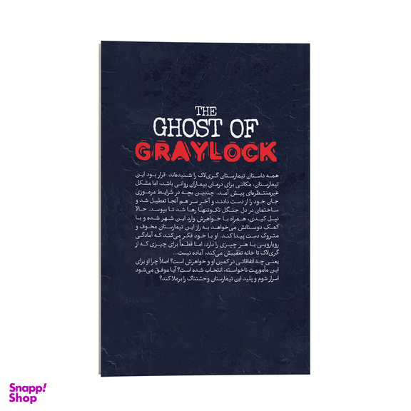 کتاب روح تیمارستان متروک گری لاک اثر دن پبلاکی نشر انتشارات کودک یار