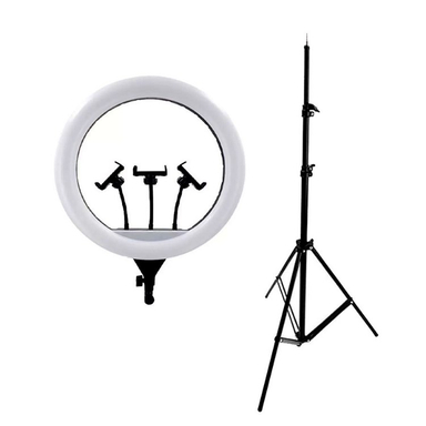 رینگ لایت تی بی 2 مدل TB2 Ring Light JL-F388 به همراه پایه نور