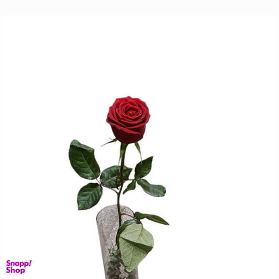 شاخه گل طبیعی گل رز کد 20090