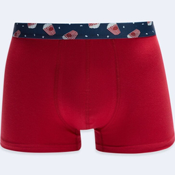 شورت پادار مردانه ال سی وایکیکی مدل w26986z8 بسته 3 عددی