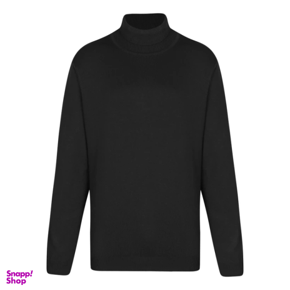 پلیور یقه اسکی مردانه ایزی دو مدل GD-s-16898732