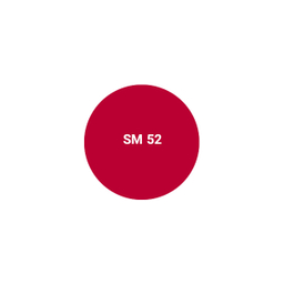 رژ لب جامد اشتون شماره SM52